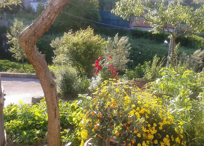 Il Cottage B&B
